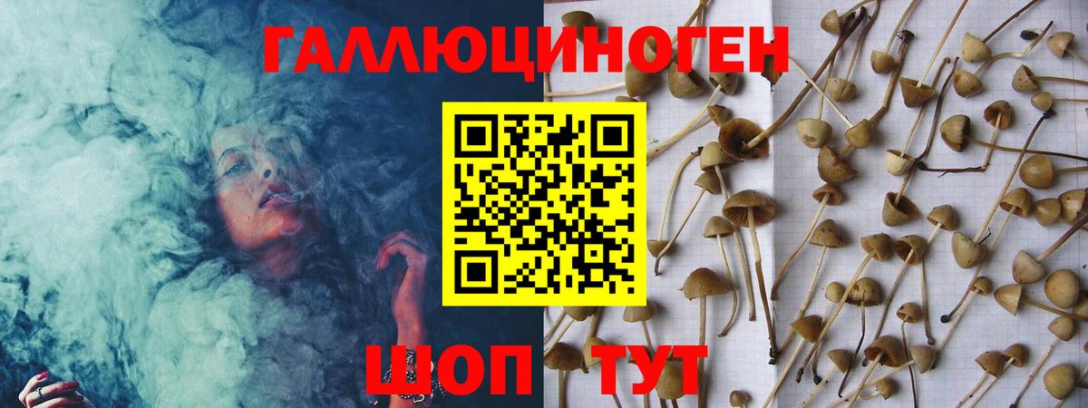 Галлюциногенные грибы Cubensis  Вход с VPN  Карабулак 